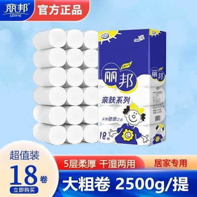 丽邦卷纸卫生纸家用大卷纸巾厕纸无芯卷筒纸手纸厕所用纸 厂家批发图1