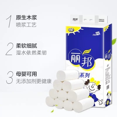 丽邦卷纸卫生纸家用大卷纸巾厕纸无芯卷筒纸手纸厕所用纸 厂家批发图3