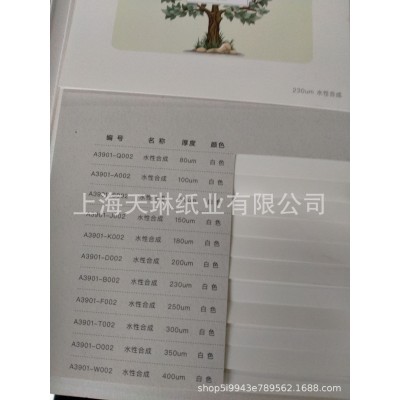 供应白色合成纸透明防潮防蛀撕不烂纸标签纸