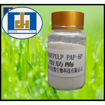 丹尼悦脂肪酶 DENYPULP PAP-6P