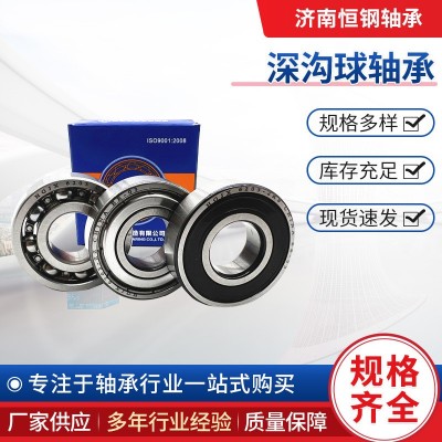 6309-2Z/C3 球轴承 6311-2Z/C3 6313-2Z/C3 6310-2Z/C3 6312-2Z