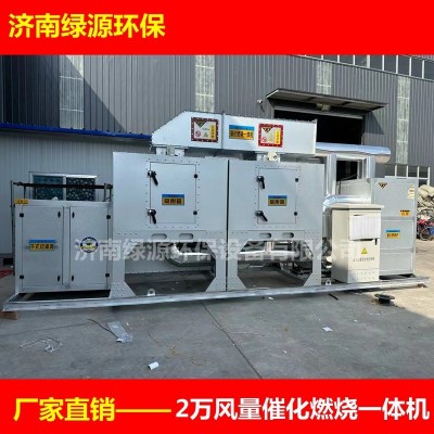 1万风量催化燃烧设备一体机 厂家直销废气处理环保设备 催化燃烧