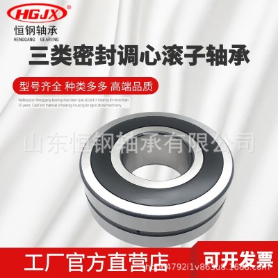 三类密封加厚 BS2-2206-2CS-2RS 30*62*25 22206CA 调 心滚子轴承