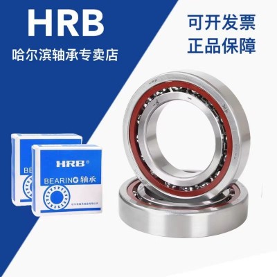 现货 哈尔滨角接触轴承7203AC 7204AC 7205AC机床 主轴轴承