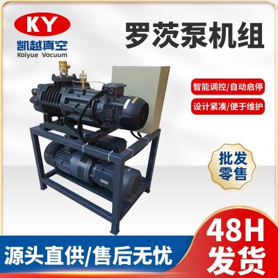 ZRP300罗茨真空泵机组XD旋片气泵电池厂烤箱专用设备静音跨境专供图1