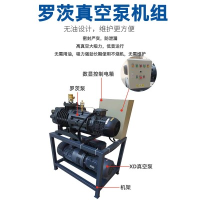 ZRP300罗茨真空泵机组XD旋片气泵电池厂烤箱专用设备静音跨境专供图2