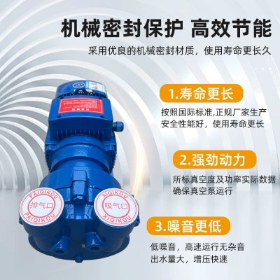 2BV水环式真空泵工业机械医药电子食品专用球墨铸铁不锈钢 真空泵图5