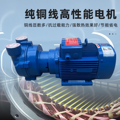 2BV水环式真空泵工业机械医药电子食品专用球墨铸铁不锈钢 真空泵图4