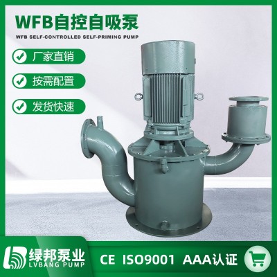 厂家供应WFB自控自吸泵立式不锈钢自吸泵高吸程无密封自吸污水泵图4