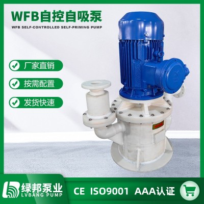 厂家供应WFB自控自吸泵立式不锈钢自吸泵高吸程无密封自吸污水泵图2