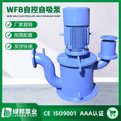 厂家供应WFB自控自吸泵立式不锈钢自吸泵高吸程无密封自吸污水泵图1
