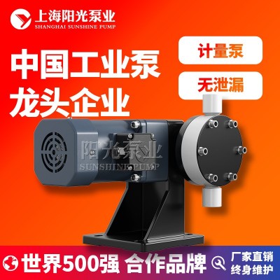 【定制】DJ-L型隔膜式计量泵污水计量泵电动隔膜计量泵上海阳光