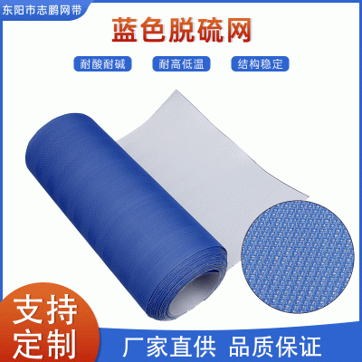 工业脱硫聚脂滤带真空滤布 带式压滤机过滤网蓝色脱硫网厂家