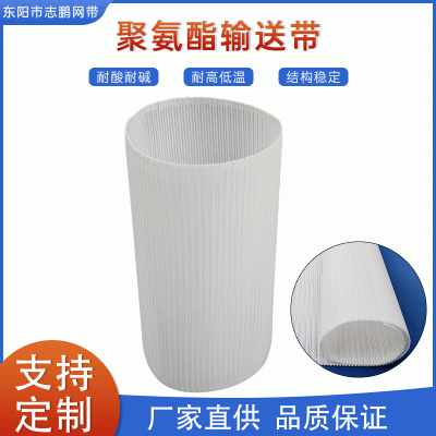 聚氨酯输送带 白色螺旋网网带批发输送带传送带