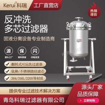 反冲洗多芯过滤器不锈钢304/316L/钛棒烧结滤芯可翻转过滤设备