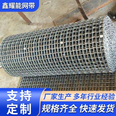 厂家供应 金属网链工业输送带马蹄链金属片网带长城网带