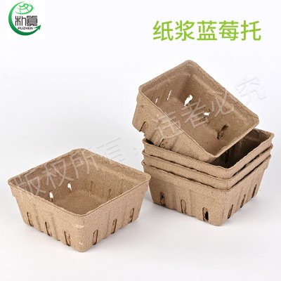 纸浆蓝莓盒蓝莓托水果篮 蓝莓水果盒 水果打包盒水果托盘糖果打包