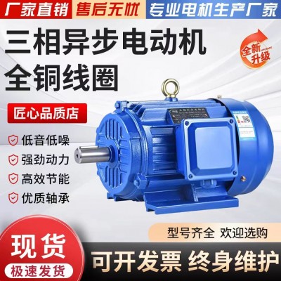 厂家直销电机三相异步电动机高效率380V国标全铜马达铁壳电机