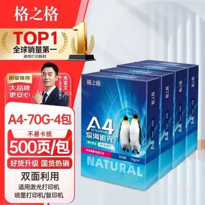 格之格 A4纸 500张/包 A4纸复印纸 打印纸 多功能经典双面打印复印纸 白纸 光滑不易卡纸 洁白顺滑 A4-复印纸-70克-深海追光-整箱五包装