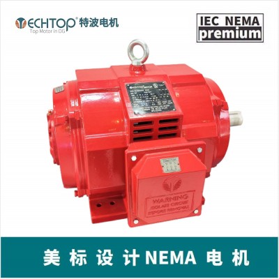 TECHTOP消防泵电机 美国UL消防电机 IP56/IP65/IP68变频电机