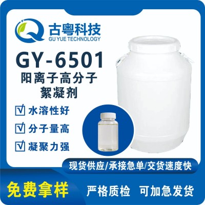 阳离子高分子絮凝剂/水处理絮凝剂/阳离子絮凝剂/水处理化学品