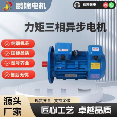 力矩电机三相异步电动机 380V 纺织造纸收卷开卷恒张力电缆卷筒专