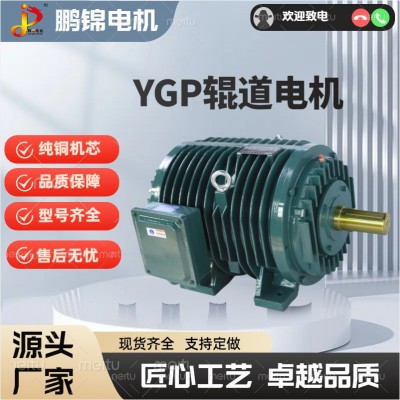 YGP辊道电机 变频调速电动机 热轧辊道减速电机