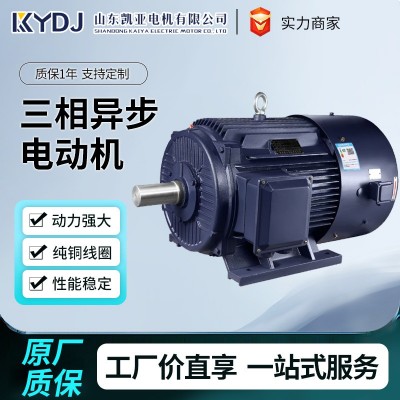 变频调速三相异步电动机YVF2 全铜380v18.5/22/30/37/45/k w电动机