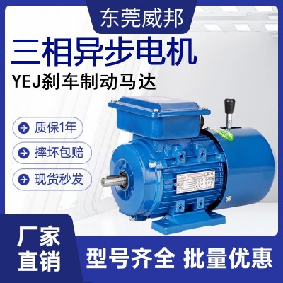 交流三相异步电机电磁制动国标纯铜线圈立卧式断电刹车变频器马达