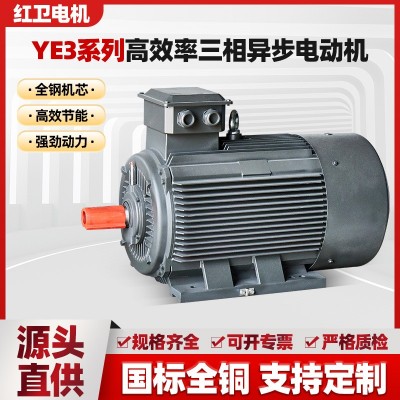 YE3系列高效率三相异步电动机