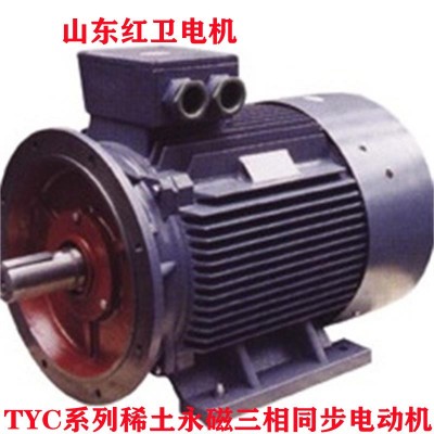 山东源头厂家直供油田用TYC250M-12/22KW 永磁三相同步电动机