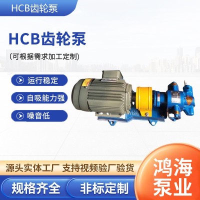 HCB齿轮泵 高温油泵 输送重油柴油泵 润滑油不锈钢泵电动自吸油泵