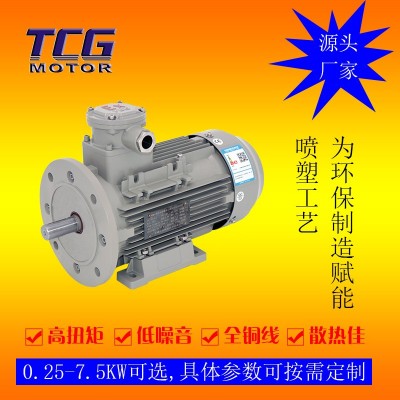 供应隔爆型防爆电机 0.55kw防爆马达 CT4小接线盒550W防爆电机
