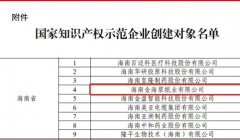 金海浆纸、金桂浆纸、金东纸业频获省市殊荣，彰显行业标杆力量