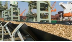 新年开“弓” 一季度木片码头卸货效率再创新纪录