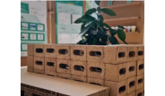 金光集团APP闪耀2026消博会