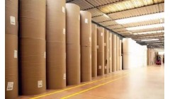 金东纸业PM6特种纸生产线提前开机