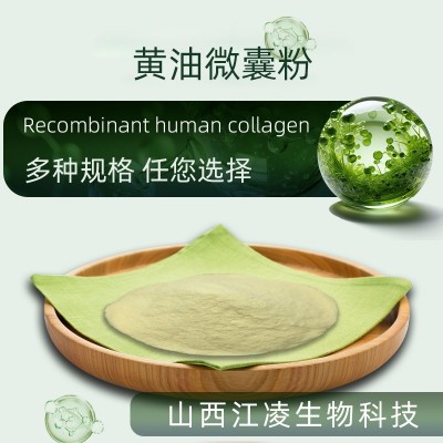 黄油微囊粉 50%现货包邮 可水溶 草饲黄油 生酮代餐粉