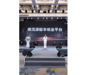全球纸业