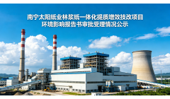 本色浆扩产20万吨 南宁太阳纸业二期项目扩建