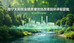 南宁太阳林浆纸一体化技改项目公示落地