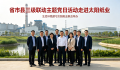 省市县三级联动主题党日活动走进太阳纸业