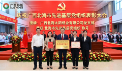 广西太阳纸业有限公司党支部获评“北海市先进基层党组织”