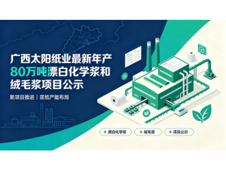 广西太阳纸业最新年产80万吨漂白化学浆和绒毛浆项目公示