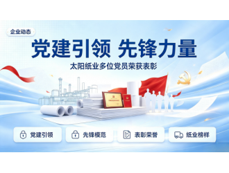 党建引领 先锋力量｜太阳纸业多位党员荣获表彰