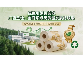 绿色引领见实效 广西金桂、金海浆纸高质量发展结硕果