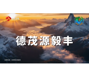 德茂源毅丰全球纸业