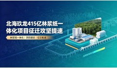 北海玖龙415亿林浆纸一体化项目征迁攻坚提速